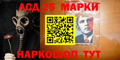 амф Кандалакша