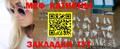 амф Кандалакша